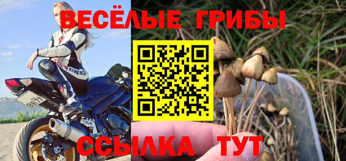 Кисловодск  Галлюциногенные грибы Psilocybine cubensis  Галлюциногенные грибы ЛСД  Вход с VPN 