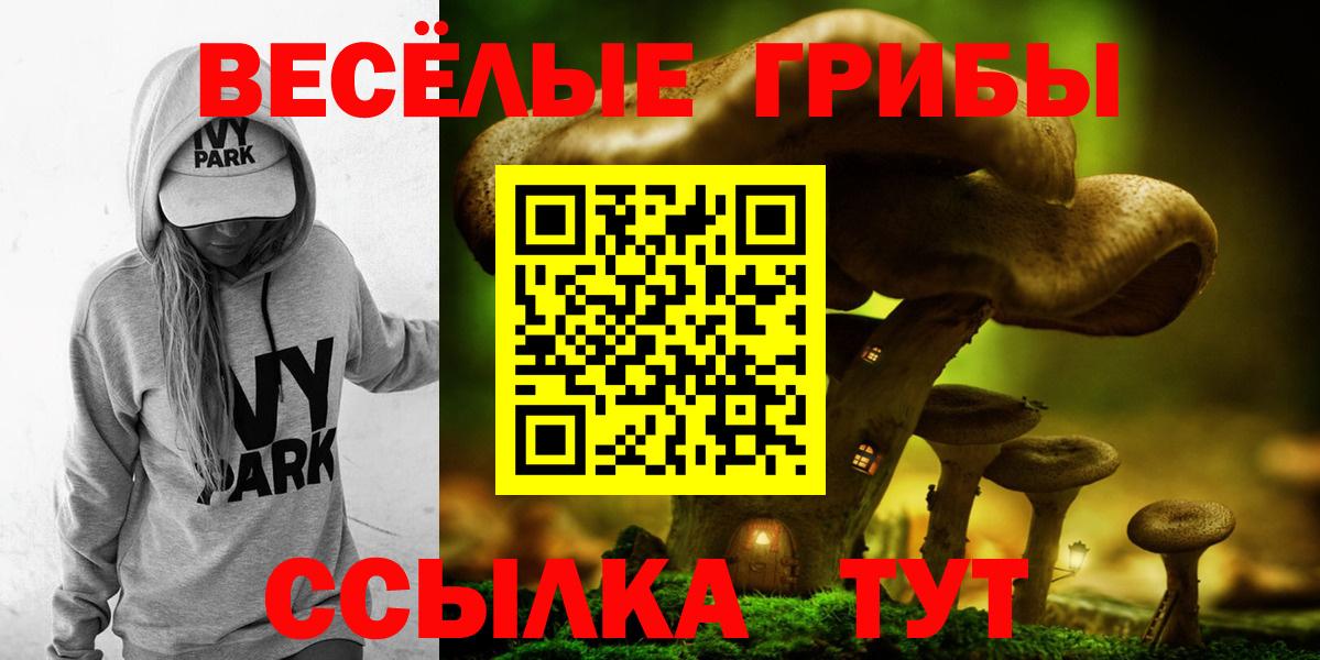 Галлюциногенные грибы прущие грибы Кисловодск