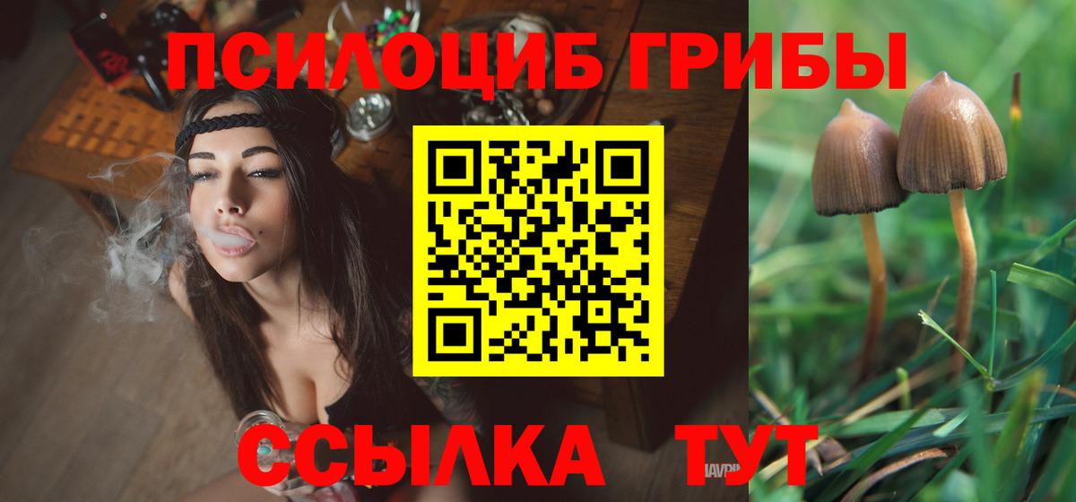 ГАШИШ Кисловодск
